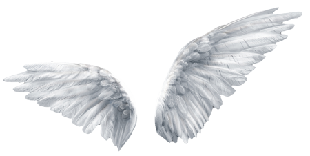 Engelflügel